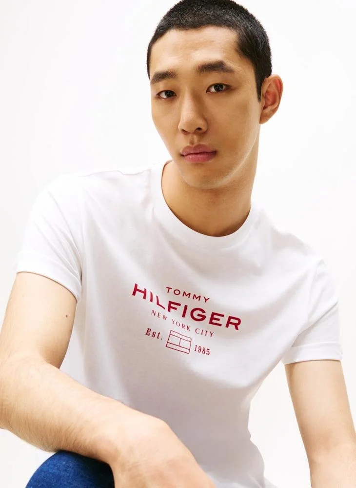 TOMMY HILFIGER Graphic Logo Crew Neck T-Shirt