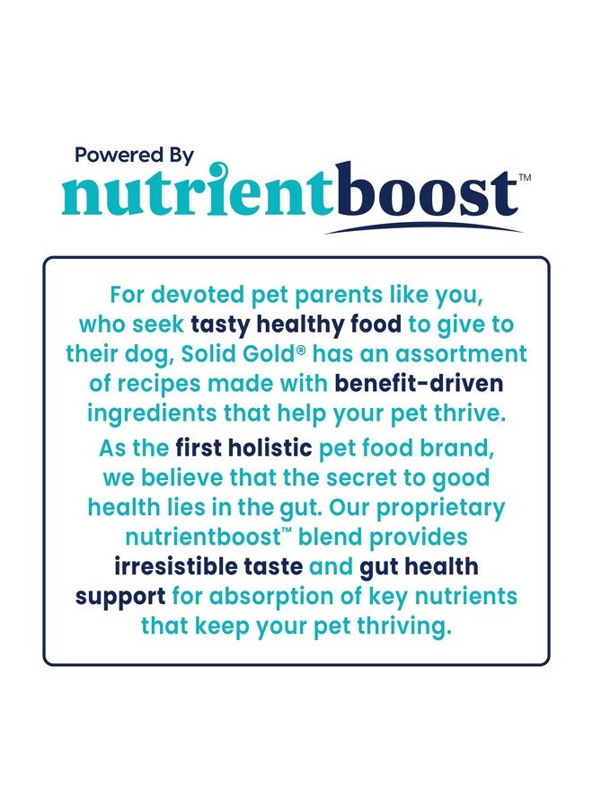 Solid Gold Dry Dog Food for Adult & Senior Dogs - Made with Real Lamb & Brown Rice - NutrientBoost Hund-N-Flocken Healthy Dog Food for Weight Management & Better Digestion - 3.75 LB Bag - Image 5