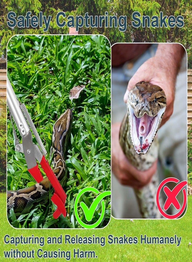 Lconvicely 50in Multi-Functional Snake Grabber Tool Set，Collapsible Snake Catcher with Wide Jaw, Stainless Steel Snake Tongs with Non-Slip Grip Handle - Image 5