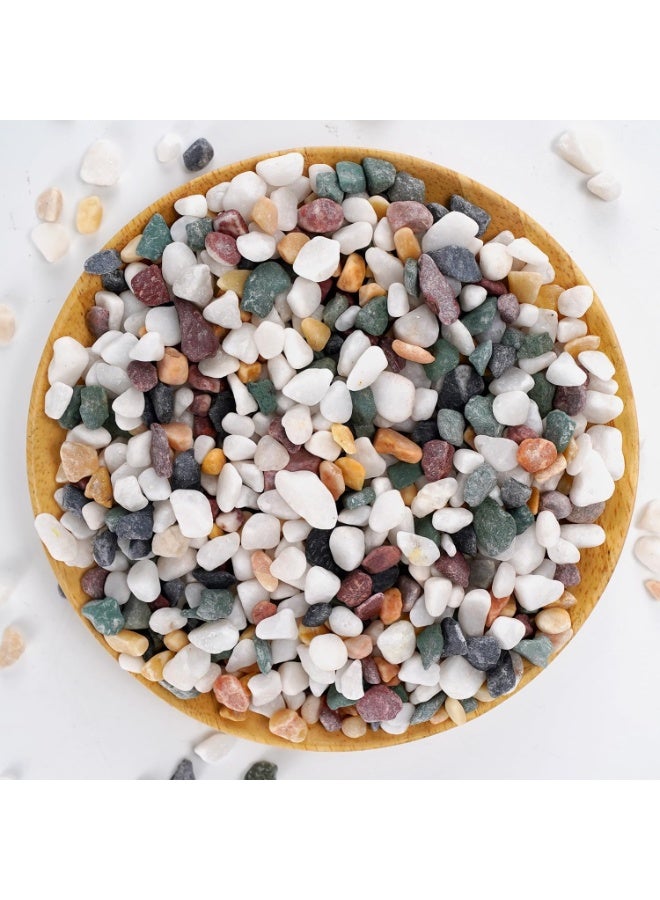 ARABIQO Premium Galaxy Sparkling Multicolored Stone - 2.5lb Reflective Decorative Stone for Fire Pits, Terrariums, and Fairy Gardens - Image 1