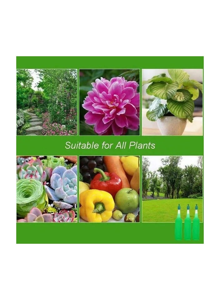 Generic 3-Bottles 38ml Hydroponic Plant Nutrient Solution Fertilizer,Bamboo Flower Fertilizer,Potted Green Concentrated Foliar Seed Fertilizer  - Image 1