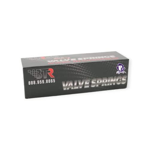 Dynosty Brian Tooley BTR .560'' Lift LS6 Beehive Valve Springs and Hat Seals 4.8 5.3 5.7 6.0 SP011 Replaces 12713265 12499224 - Image 3