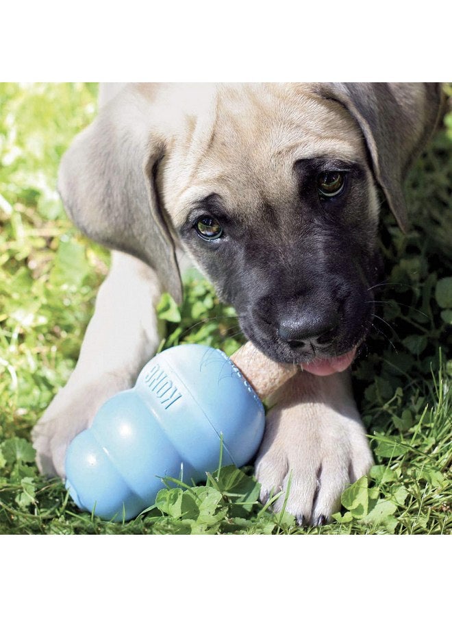 كونج - زيجيز بوبي - مكافآت تنظيف أسنان الكلاب - وصفة للجراء - كبيرة (أفضل ألعاب مطاطية مستعملة للجراء) - Image 5