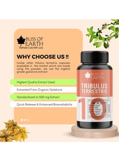 BLISS OF EARTH Green Coffee Bean Extract Supplement & Tribulus Terrestris Extract Supplement Capsules For Energy Stamina & Health  - Image 5