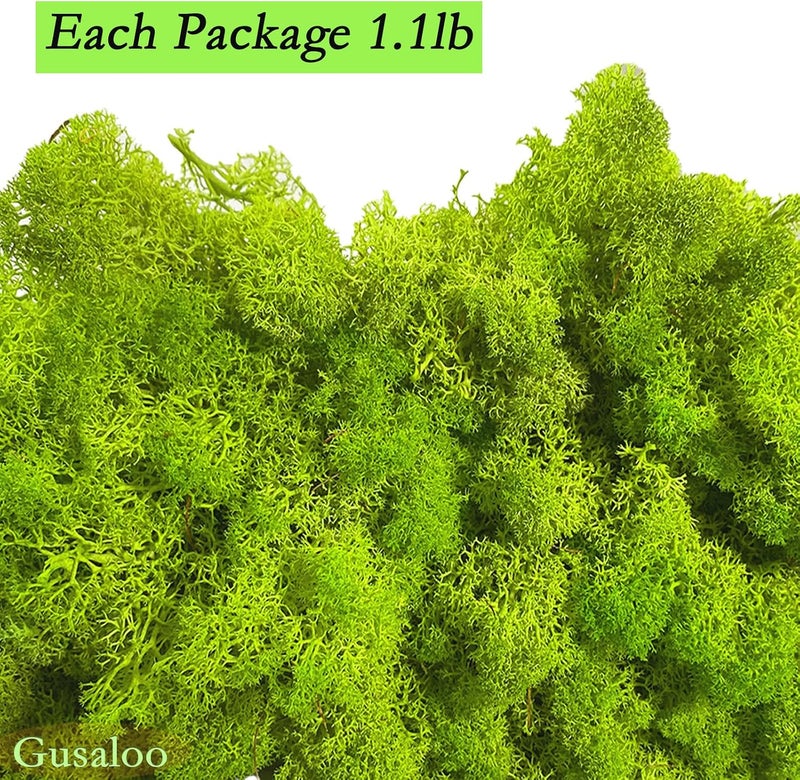 Gusaloo Preserved 1.1lb Moss Artificial Moss Natural Fresh Green Moss for Craft Handicraft Arts Floral Project Wall Decor Table Decor Wedding Centerpieces Garden Terrariums Decoration - Image 5