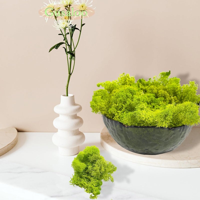 Gusaloo Preserved 1.1lb Moss Artificial Moss Natural Fresh Green Moss for Craft Handicraft Arts Floral Project Wall Decor Table Decor Wedding Centerpieces Garden Terrariums Decoration - Image 4