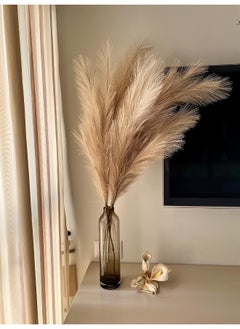 Generic chousse 4 Pcs Pampas Grass Set - 43 Inches Tall (Coffee & Cream)  - Image 1