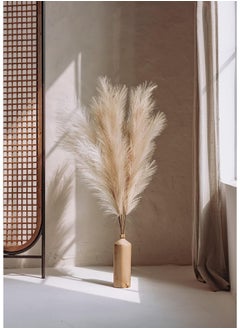 Generic chousse 4 Pcs Pampas Grass Set - 43 Inches Tall (Coffee & Cream)  - Image 5