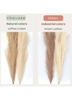 Generic chousse 4 Pcs Pampas Grass Set - 43 Inches Tall (Coffee & Cream)  - Image 2