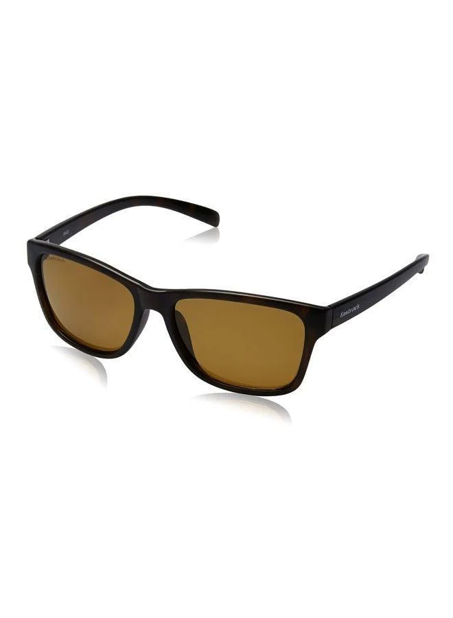 fastrack Brown Wayfarer Men Sunglasses (P379BR5P|60)