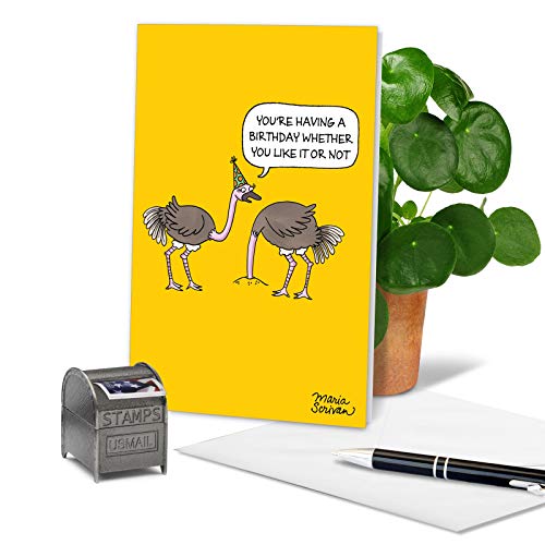 NobleWorks - 1 Happy Birthday Cartoon Greeting Card - Funny Notecard with Envelope, Comic Stationery - Ostrich Party C6966BDG - Image 3