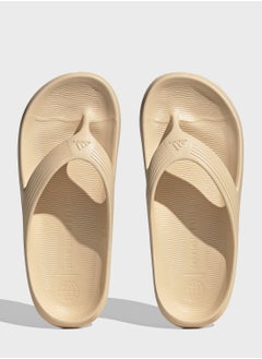 Adicane Flip Flop - pzsku/Z9CAB9B6B3CAD37F27A80Z/45/_/1702423956/75fbd0a6-af49-47c4-929f-431a09331c0c