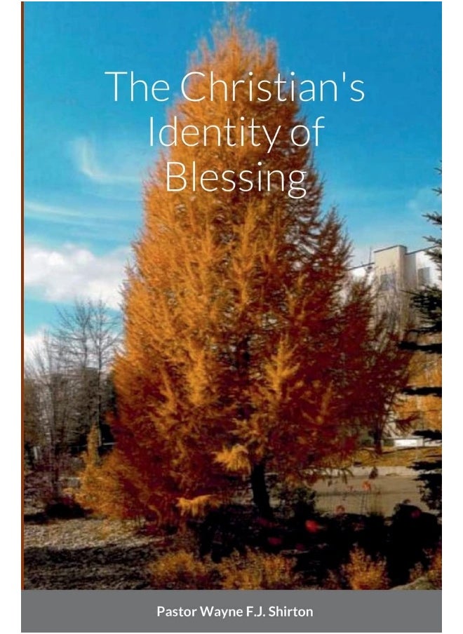 The Christian's Identity of Blessing  - Image 1