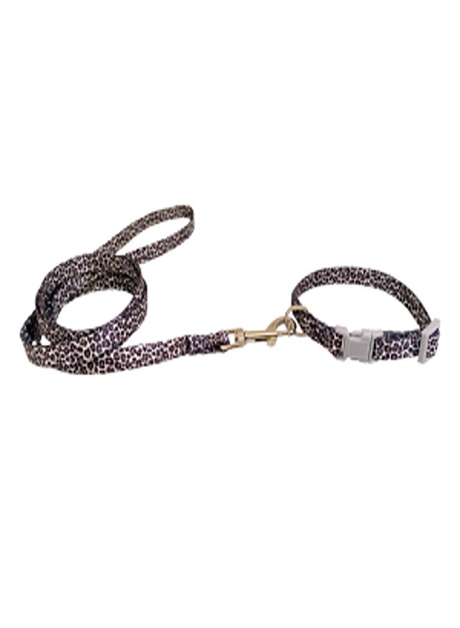 بوبي مجموعة مقود وطوق للكلاب من النايلون من Jungle، ألوان متنوعة