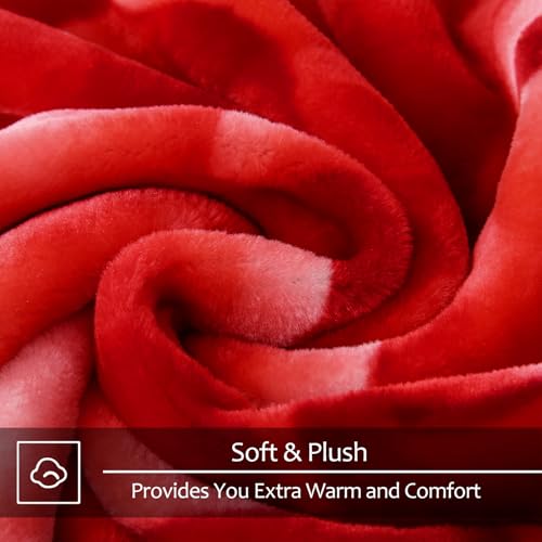 JYK Soft Blanket Korean Mink Blanket, 5 LB Fleece Blanket Queen 75'' x 87'' - 2 Ply Reversible 520GSM Super Soft Plush, Medium Thick, Warm Bed Blanket for Autumn Winter - Peony/Rose - Image 4