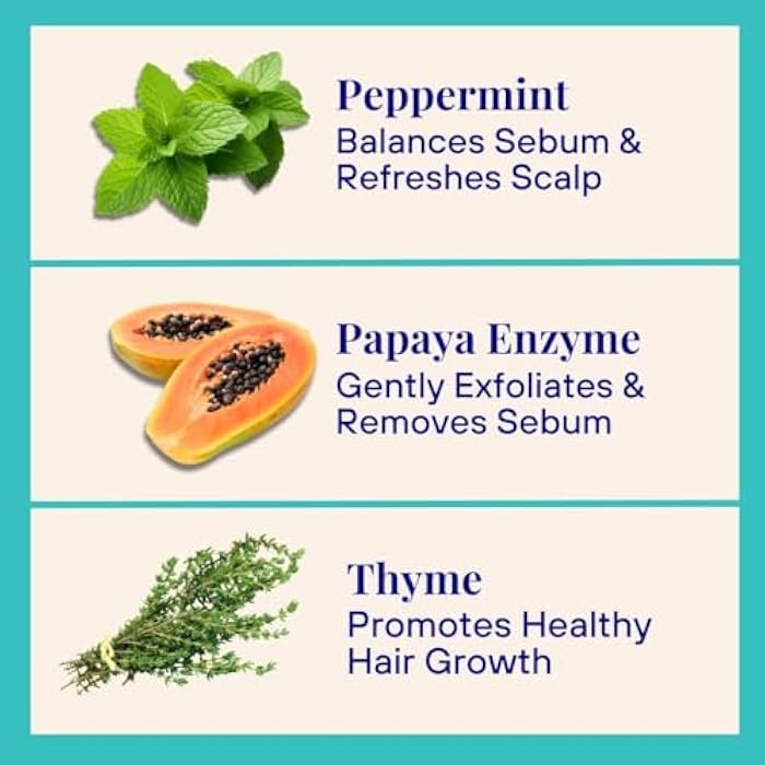 The Powder Shampoo - Powder Shampoo Aluminum Bottle Purifying & Regulating Shampoo (Thyme & Peppermint) - 2.47 oz - Image 4