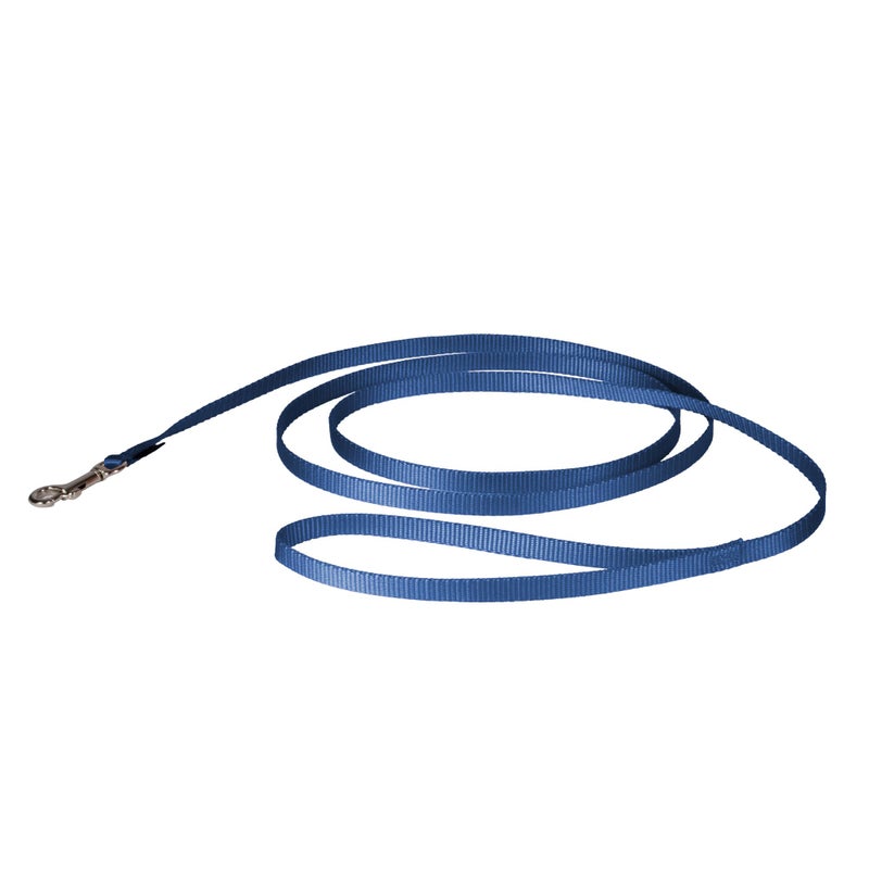 PetSafe Nylon Leash - Strong Dog Leash for Everyday Use - Secure & Simple Design for Reliable Control - Lightweight with Durable Hardware - 3/8 Inch - 6 Feet - Blue - Image 1