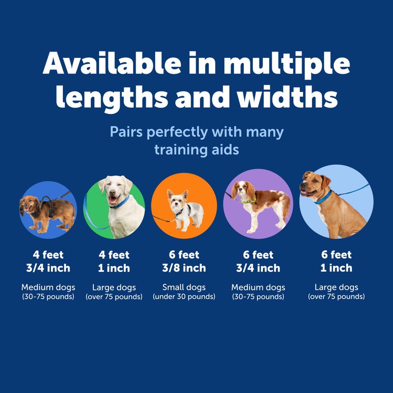 PetSafe Nylon Leash - Strong Dog Leash for Everyday Use - Secure & Simple Design for Reliable Control - Lightweight with Durable Hardware - 3/8 Inch - 6 Feet - Blue - Image 5