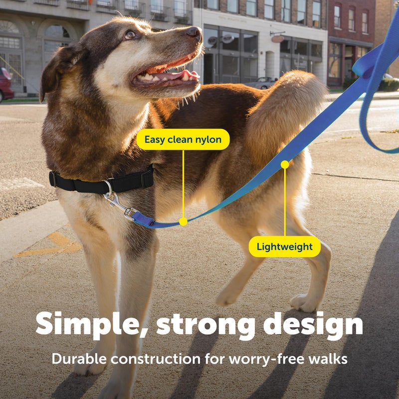PetSafe Nylon Leash - Strong Dog Leash for Everyday Use - Secure & Simple Design for Reliable Control - Lightweight with Durable Hardware - 3/8 Inch - 6 Feet - Blue - Image 4