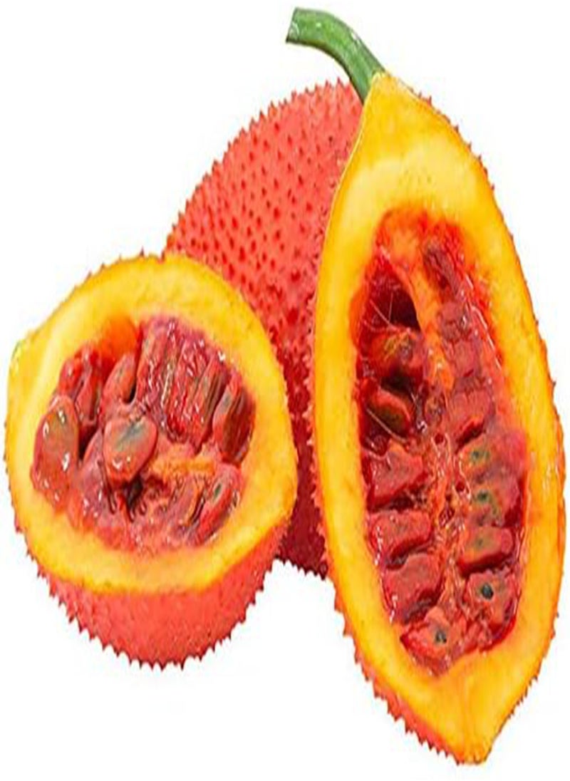GGOOT 10 Pcs/Pack Bitter Melon Seeds Fruit Bonsai Momordica Cochinchinensis Bonsai Spreng Cochinchin Gourd Non-GMO Fruit Plant  - Image 1