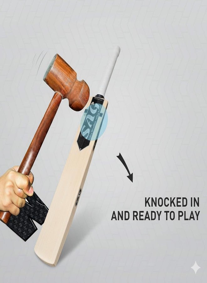 SAG Classic Kashmir Willow Cricket Bat - Image 2