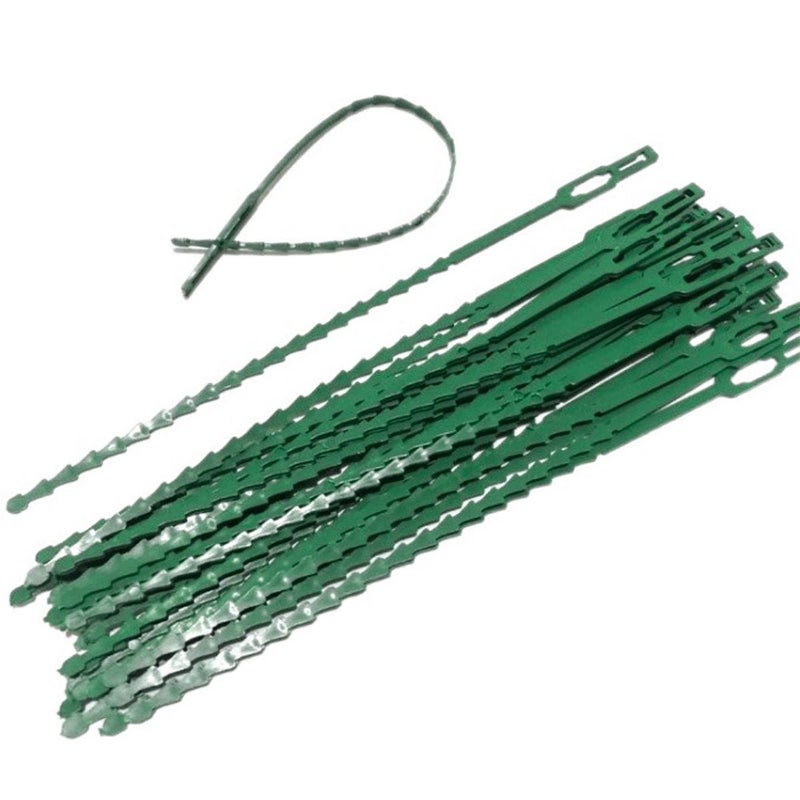 Green Fishbone Zip Ties 6.69 Inch for Horticultural Plants Climbing Vines Flowers Seedlings Fixing Shaping Straps 48 Pcs - Image 1