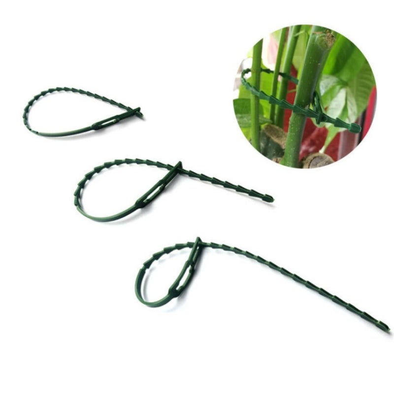 Green Fishbone Zip Ties 6.69 Inch for Horticultural Plants Climbing Vines Flowers Seedlings Fixing Shaping Straps 48 Pcs - Image 3