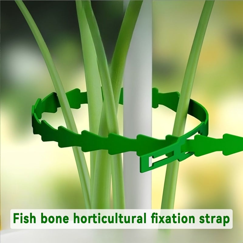 Green Fishbone Zip Ties 6.69 Inch for Horticultural Plants Climbing Vines Flowers Seedlings Fixing Shaping Straps 48 Pcs - Image 5