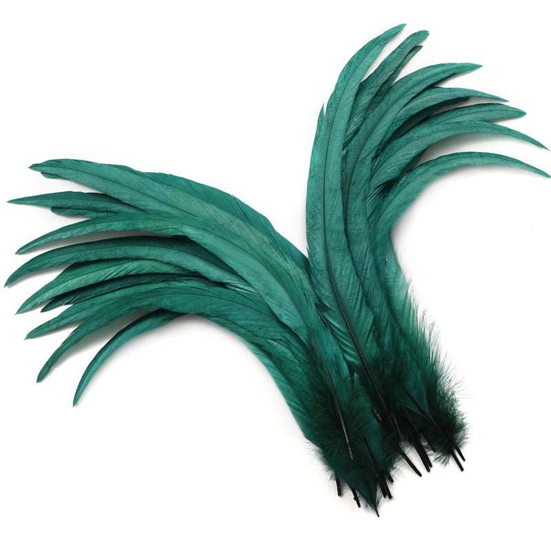 Holmgren Dark Green Rooster Feathers - 60pcs 12-14inch Natural Large Rooster Coque Tail Feathers Bulk foror DIY Crafts Hats Costume, Party Performances Decoration (Dark Green) - Image 1