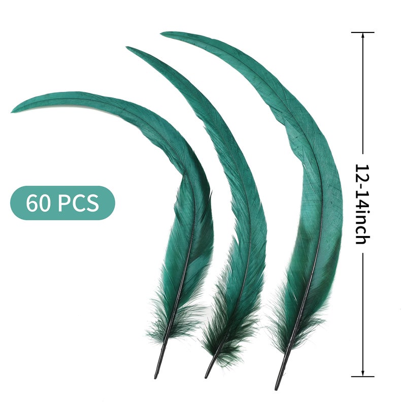 Holmgren Dark Green Rooster Feathers - 60pcs 12-14inch Natural Large Rooster Coque Tail Feathers Bulk foror DIY Crafts Hats Costume, Party Performances Decoration (Dark Green) - Image 3