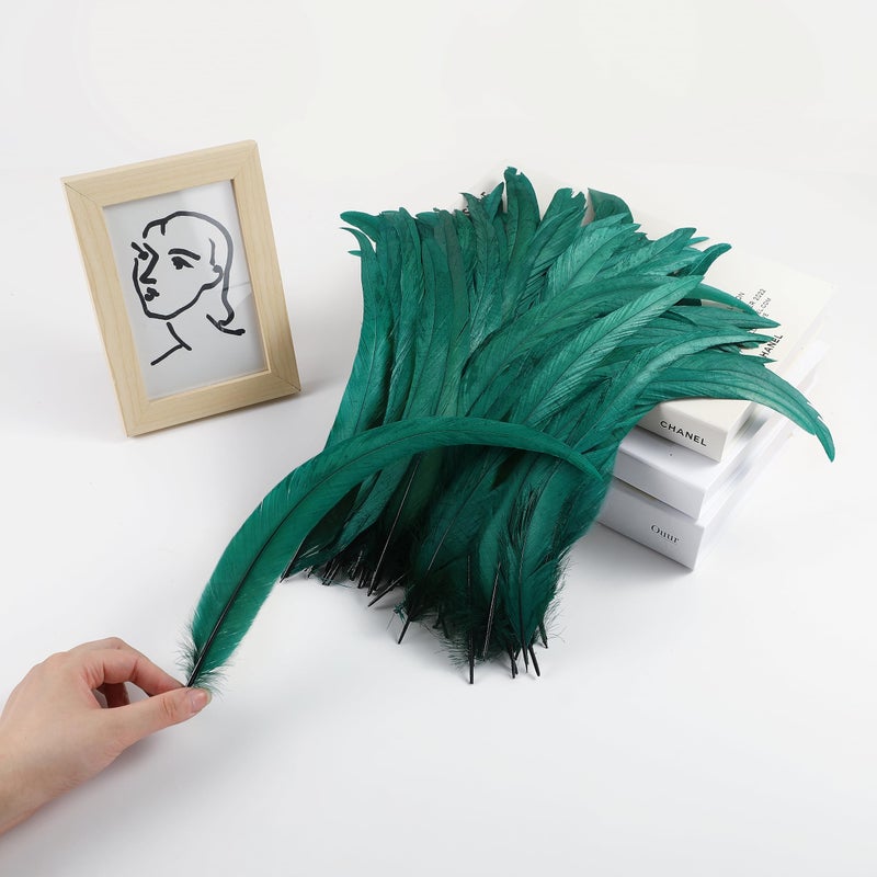 Holmgren Dark Green Rooster Feathers - 60pcs 12-14inch Natural Large Rooster Coque Tail Feathers Bulk foror DIY Crafts Hats Costume, Party Performances Decoration (Dark Green) - Image 2