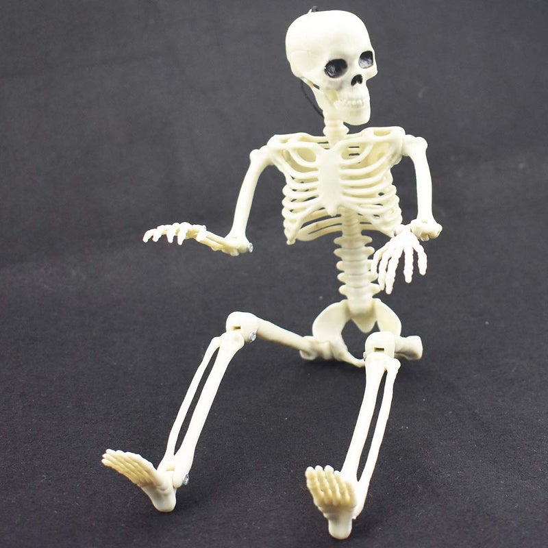 XONOR 16â€ Posable Halloween Skeleton- Full Body Halloween Skeleton with Movable Joints for Haunted House Props Decorations (10pcs) - Image 5