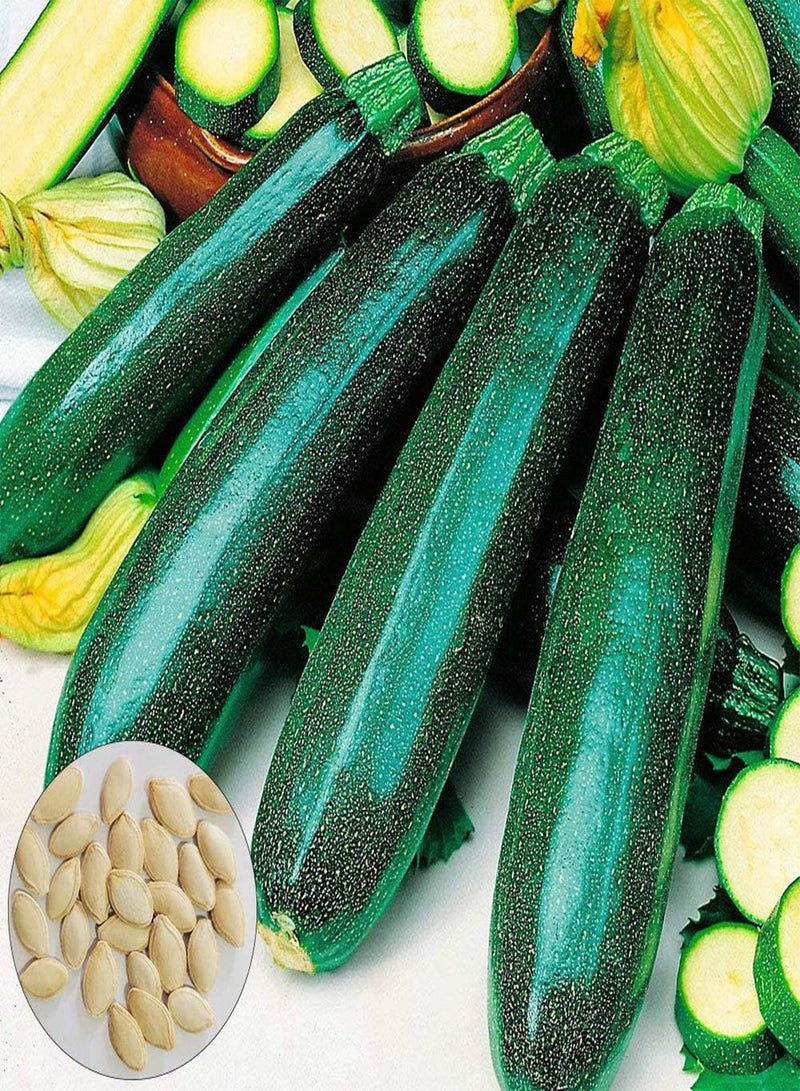 GGOOT 25Pcs Korean Green Courgette Zucchini Seeds,Garden Yard Vegetable Climbing for Planting Garden Yard Outdoor 1 Zucchini Seeds - Image 1