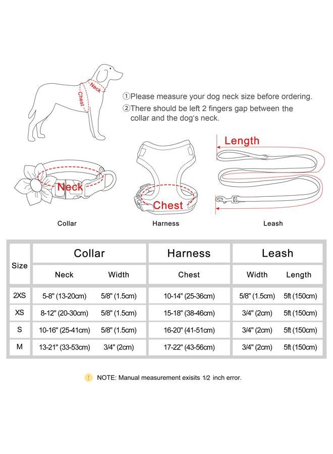 BEIRUI Cute Girl Dog Collars, Harnesses & Leashes Set - Adjustable Dog Collar and Leash Set with Flower - Soft Mesh Dog Vest Harness for Puppies Small & Extra Small Dogs Cats (Blue,XXS) - Image 2