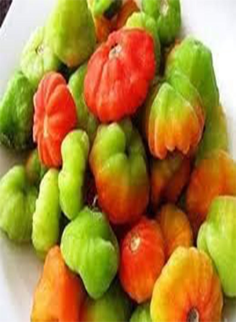 جي جوت 100 بذور خضروات فلفل الكاشوتشا الأحمر. - Image 1