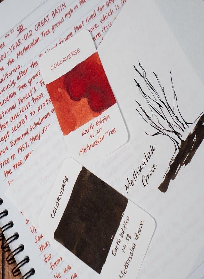 Colorverse Ink - Earth Edition - Methuselah Tree (65ml) & Methuselah Grove (15ml) - Image 2