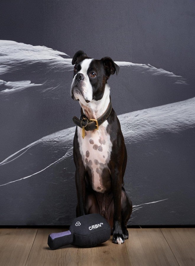 CRBN Pickleball - ᴷ⁹ Squeak Dog Toy Gifts - The 1st Pickleball Dog Toy - Gifts for Pickleball Lovers - Image 5