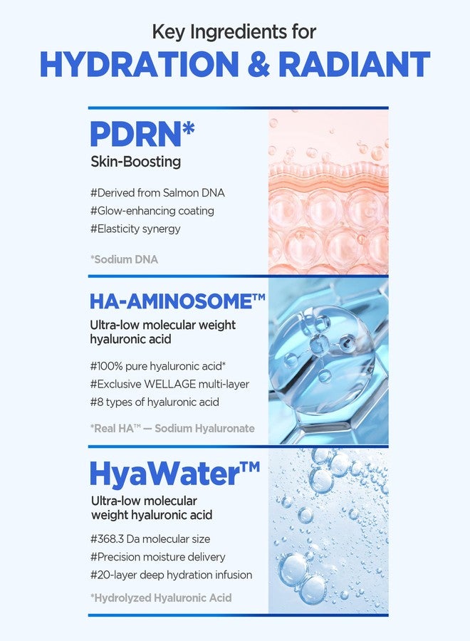 ويليدج قناع الوجه الورقي WELLAGE Real Hyaluronic Glow Booster PDRN Hydrogel - أقنعة ليلية للوجه لترطيب عميق، ونضارة، وإشراقة البشرة - منتجات العناية بالبشرة الكورية، 5 أقنعة - Image 4