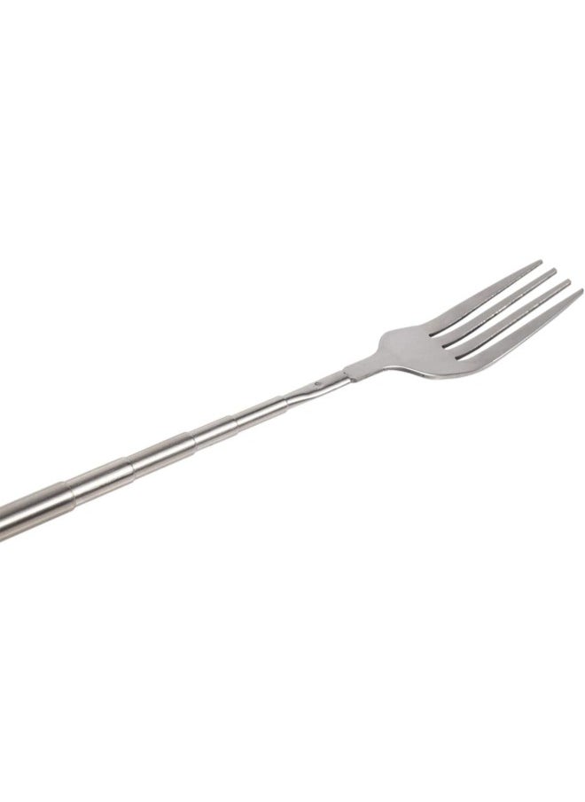 silvercnc - Telescopic Fork, Extendable Long Cutlery Forks Stainless Steel Fruit Dessert Toasting Fork for Eating Extends to 25inch 1pcs - Image 1