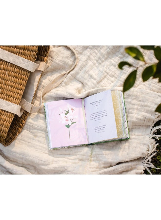 Jesus Listens--for Lent and Easter, Padded Hardcover, with Full Scriptures: Prayers for the Season  - Image 4