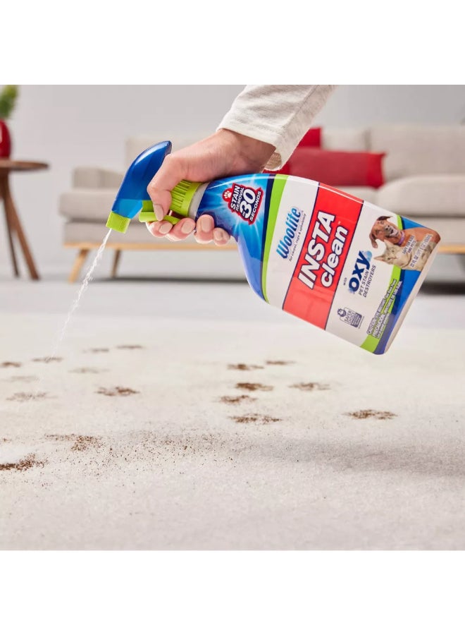 Woolite INSTAclean Oxy Powered Pet Stain Remover Spray 650 ml 7342728 - Image 4