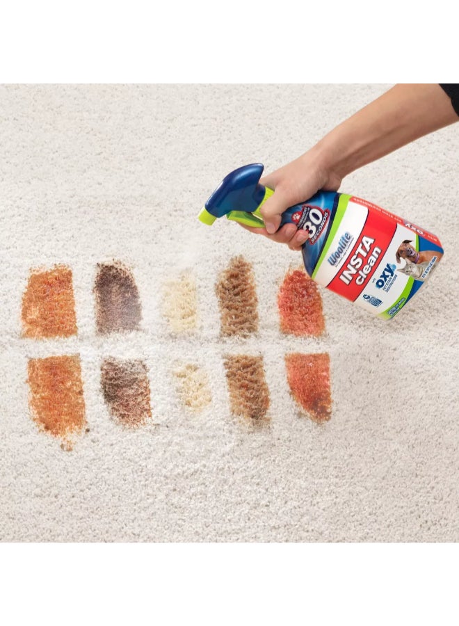 Woolite INSTAclean Oxy Powered Pet Stain Remover Spray 650 ml 7342728 - Image 3