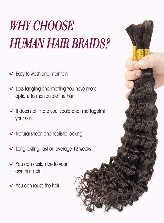 Sufeasdf Human Braiding Hair for Boho Braids Bulk Human Hair for Braiding Deep Wave Bulk Human Hair for Braiding No Weft (1 Pack-2 Bundles-100g) 100% Human Hair Bundles (4/30#, 20Inch) - Image 3