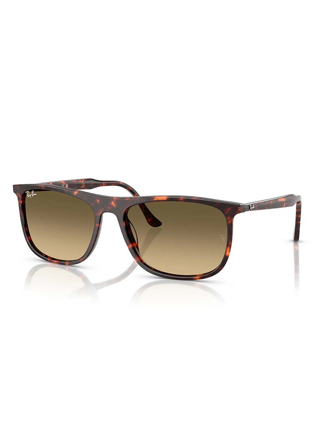 Ray-Ban Unisex RB2216 14290A Unisex's Full Rim Rectangular Sunglasses - Lens Size: 58 mm - Image 2