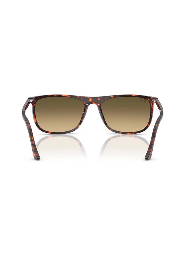 Ray-Ban Unisex RB2216 14290A Unisex's Full Rim Rectangular Sunglasses - Lens Size: 58 mm - Image 4