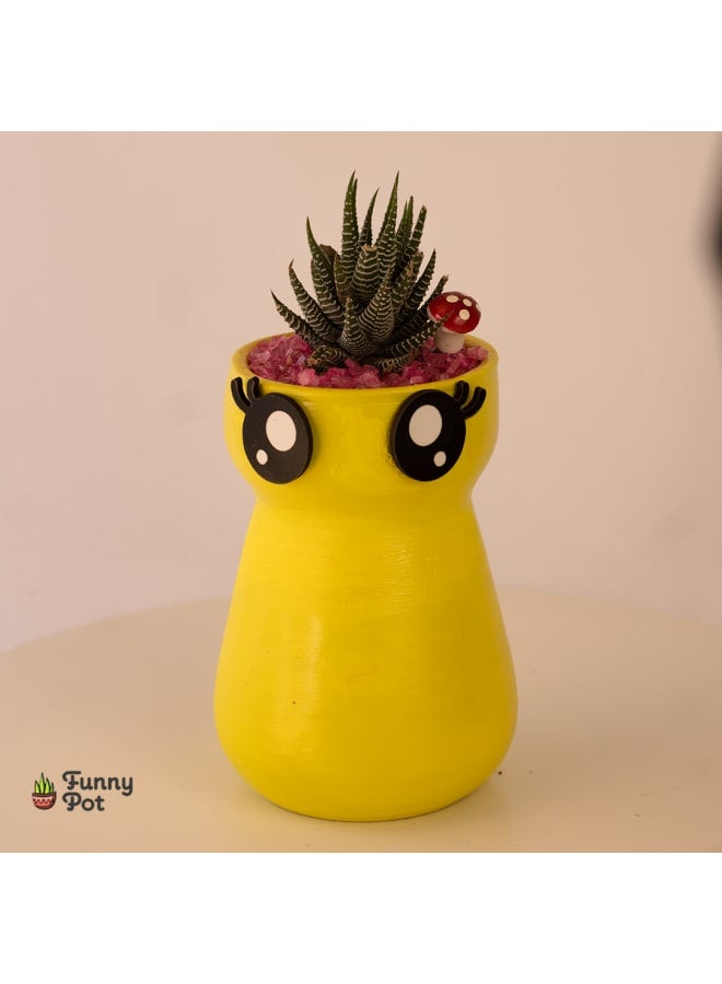 Decorative Handmade Pottery Plant Pot with natural cactus - yellow - 18*10 cm