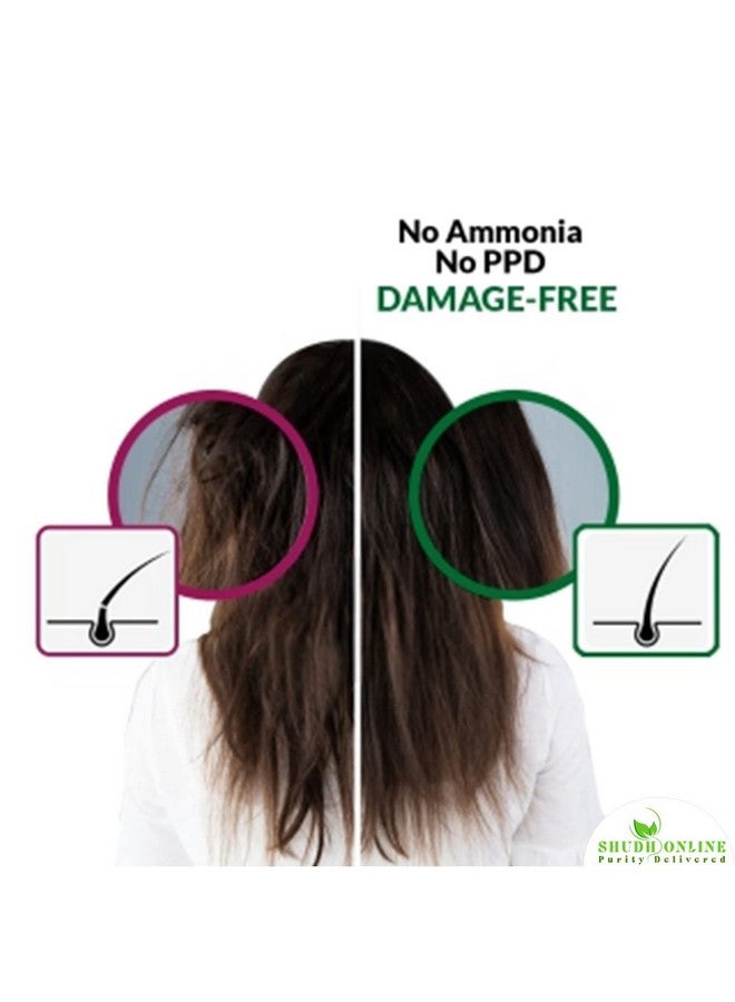 Shudh Online Indigo And Henna Powder Organic For Hair Colour (100 Grams Each - 200 Grams), Avuri And Mehandi, Neela Amari, Natural Mehndi, Cassia Obovata, Neel Patti, Neelayamari, Neli Aku - Image 5