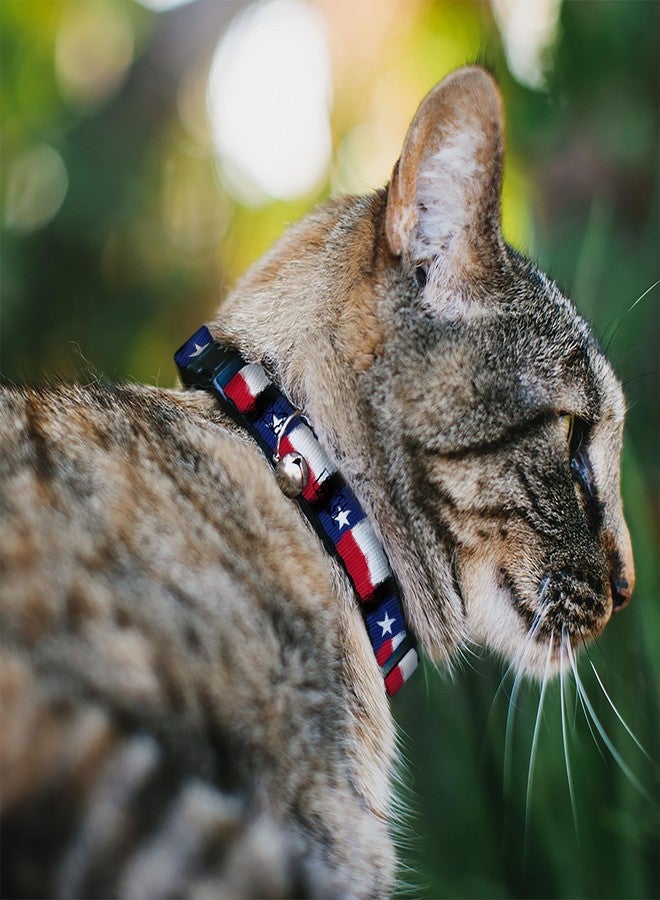 Buckle Down Buckle-Down Cat Collar Breakaway Texas Flag Painting 8 to 12 Inches 0.5 Inch Wide - Image 2