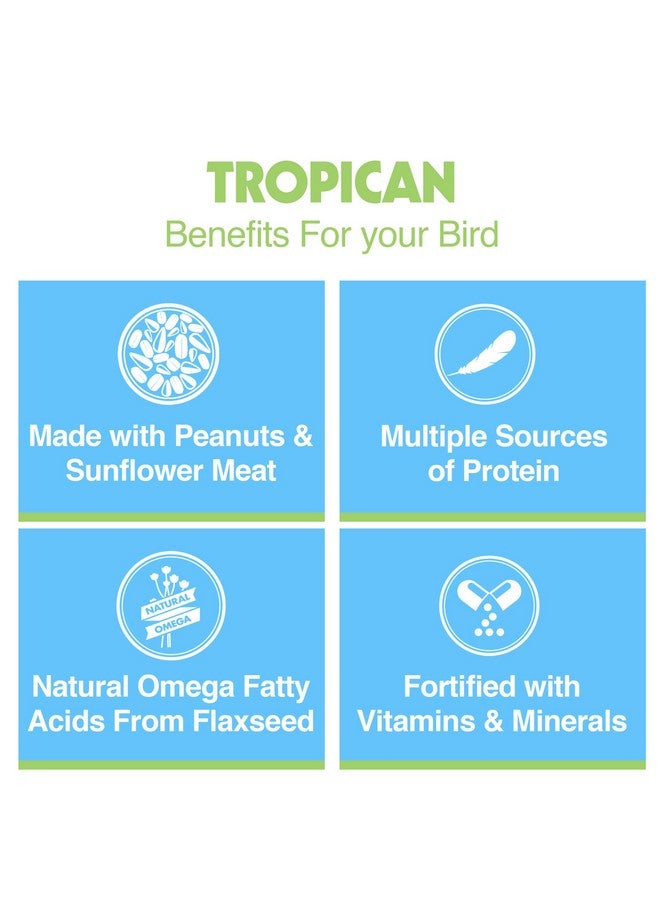 Hari Hari Hagen Tropican Lifetime Formula Parrot Food, 4 lb Parrot Food with Peanuts & Sunflower Seeds and Balance Nutrition Levels  - Image 5