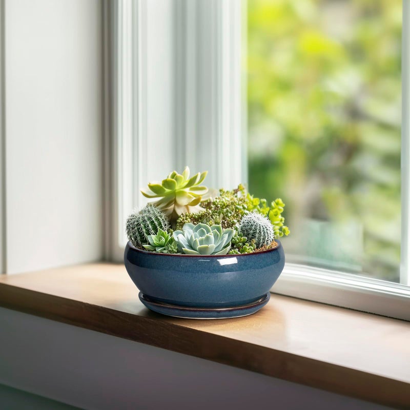 SQOWL Succulent Pots - 6 Inch Ceramic Bonsai Pots, Shallow Planter with Drainage Hole and Saucer, Modern Round Planter for Indoor Plants Outdoor, Flower Cactus Pot, Home Decor, Plant Lover Gift, Blue - Image 3